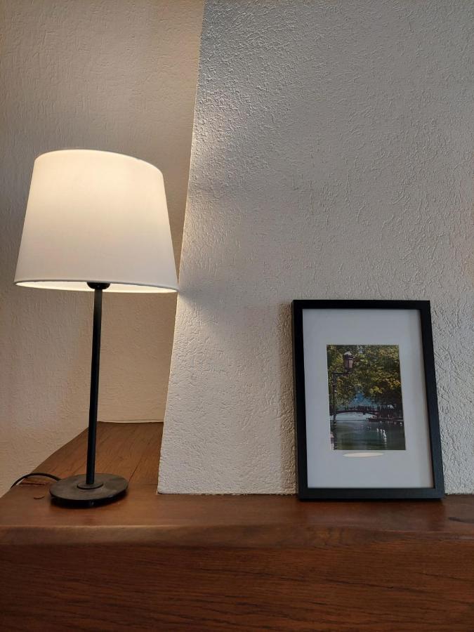 Le Vintage - Appartement En Plein Coeur De La Vieille Ville Annecy Buitenkant foto